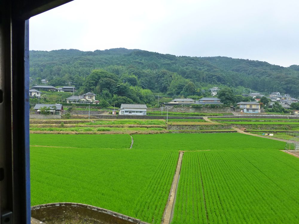 0964 On a humid summer's day with the rice paddies in deep green. Near Iwamatsu. (2013)